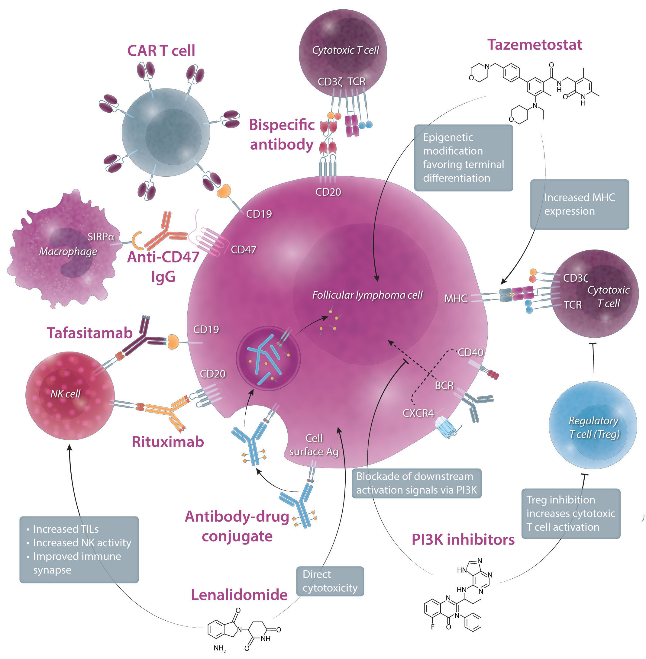 Prospects in the management of patients with follicular lymphoma beyond  first-line therapy