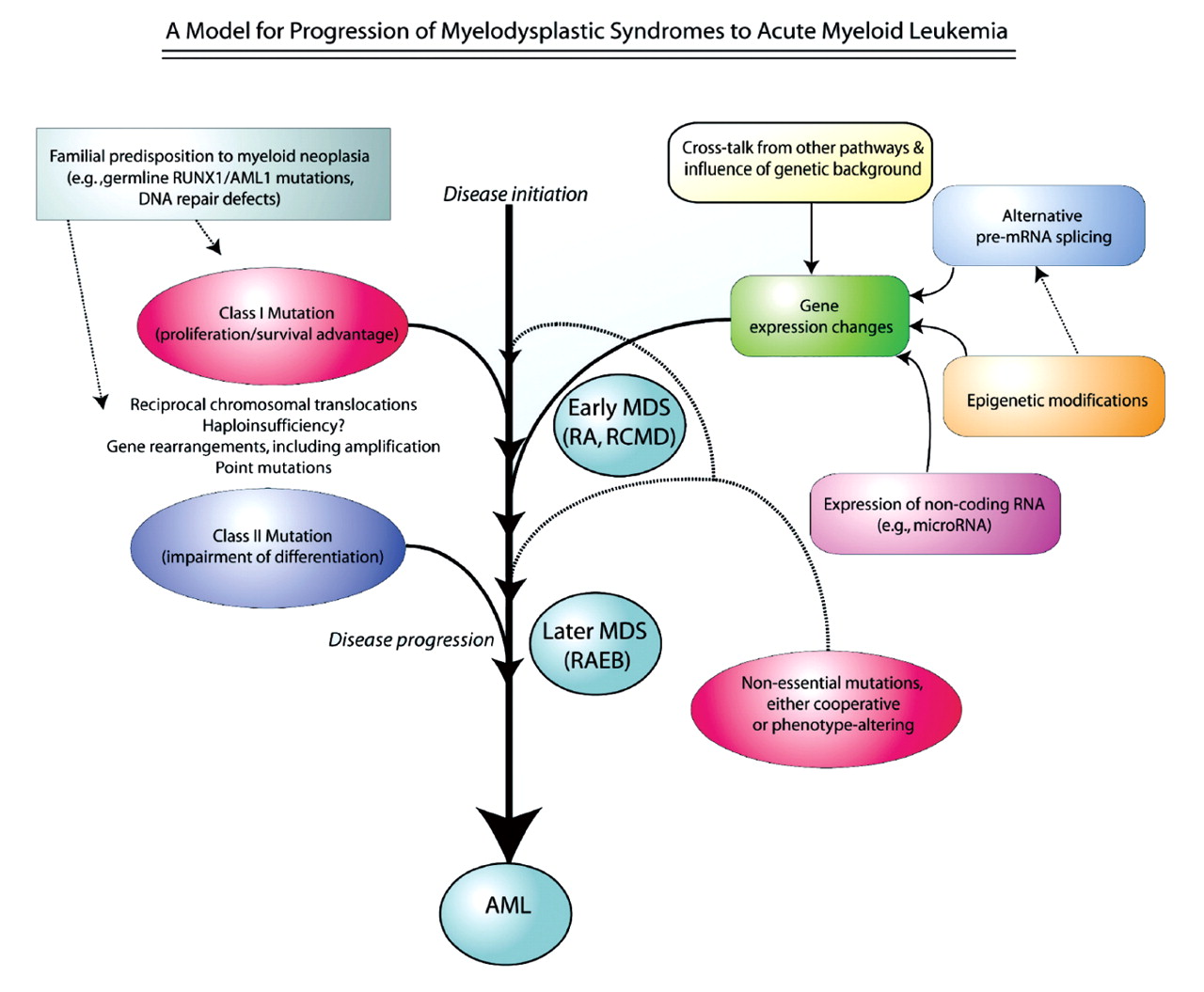 myelodysplastic syndrome diagram