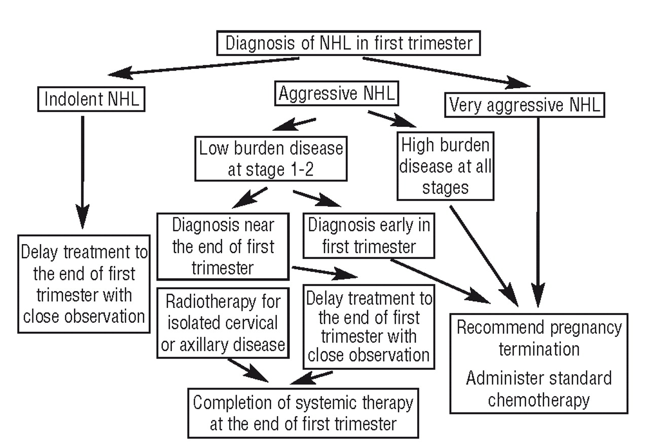 The treatment of Hodgkin's and non-Hodgkin's lymphoma in pregnancy