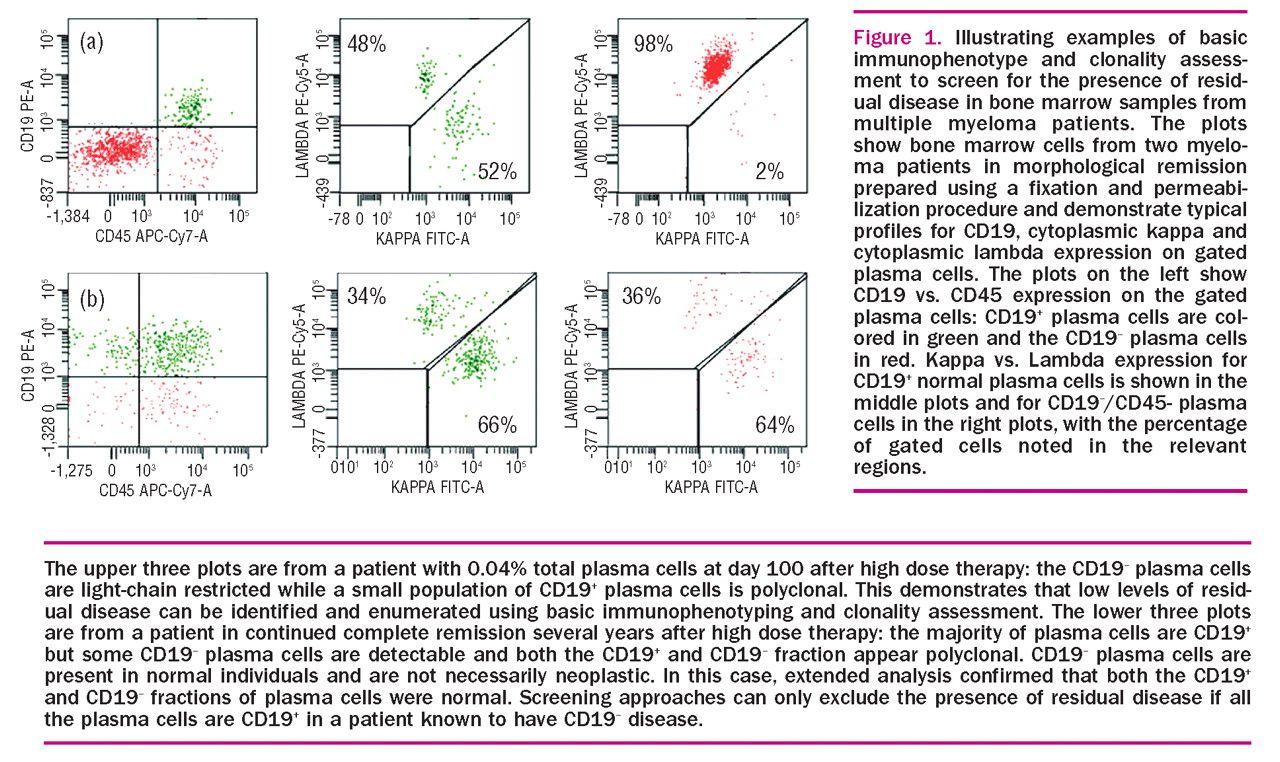 Report of the European Myeloma Network on multiparametric flow