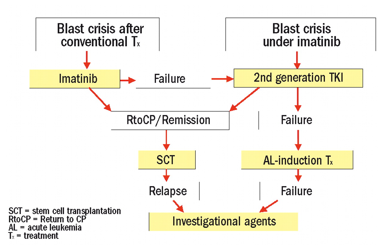 Treatment of chronic myeloid leukemia in blast crisis Haematologica