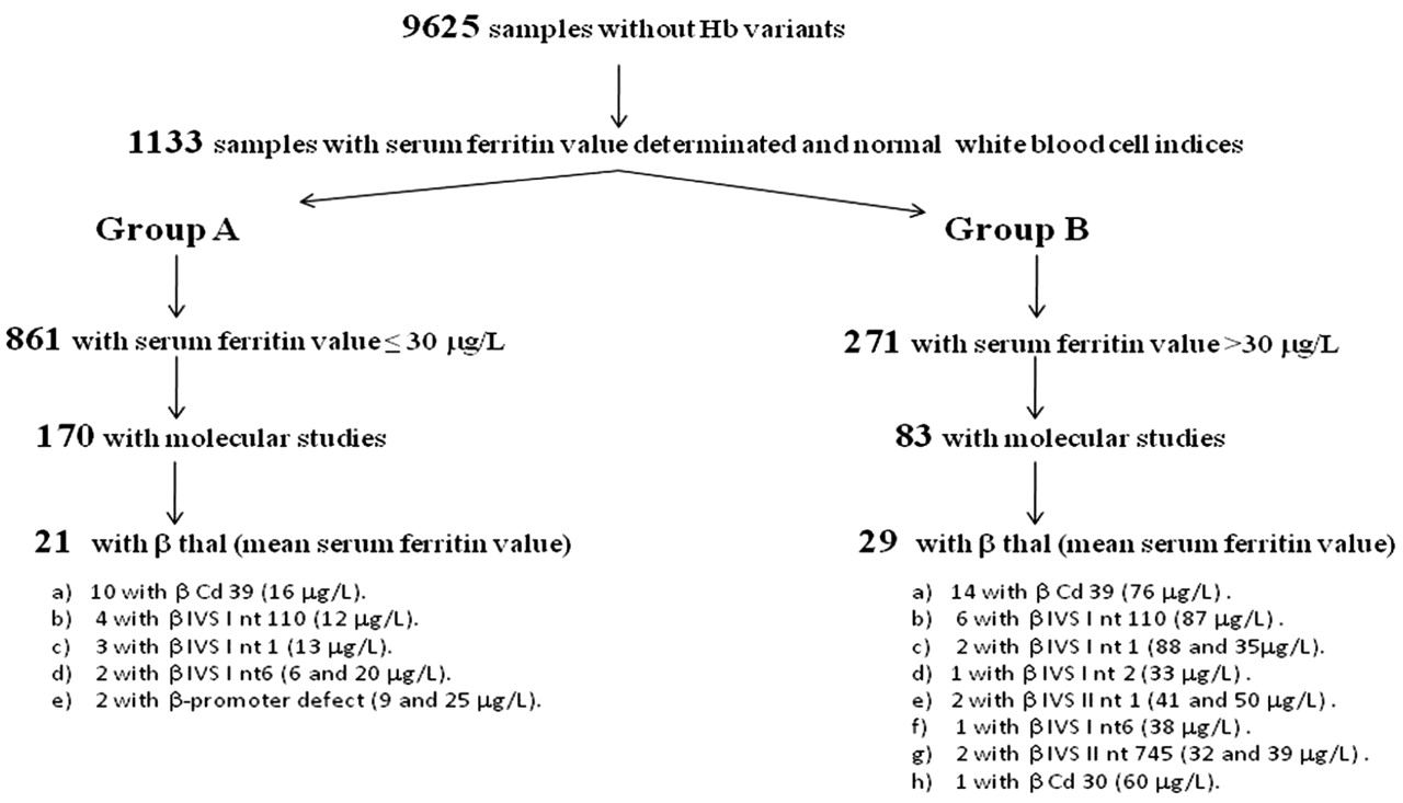 Iron Deficiency Does Not Compromise The Diagnosis Of High Hba2 B Thalassemia Trait Haematologica