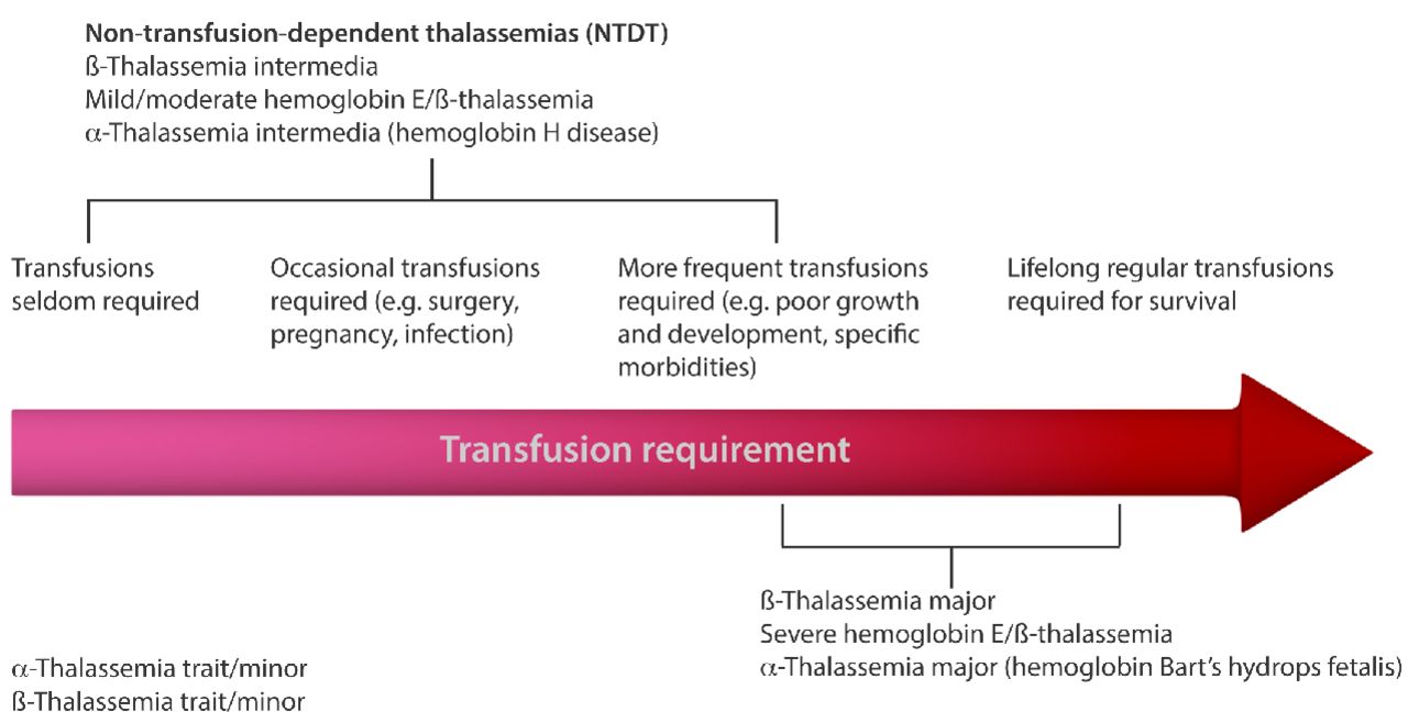 Non Transfusion Dependent Thalassemias Haematologica