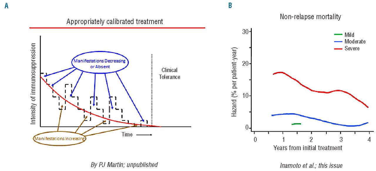 Disease severity in chronic graft-versus-host disease: doctors’ gut ...