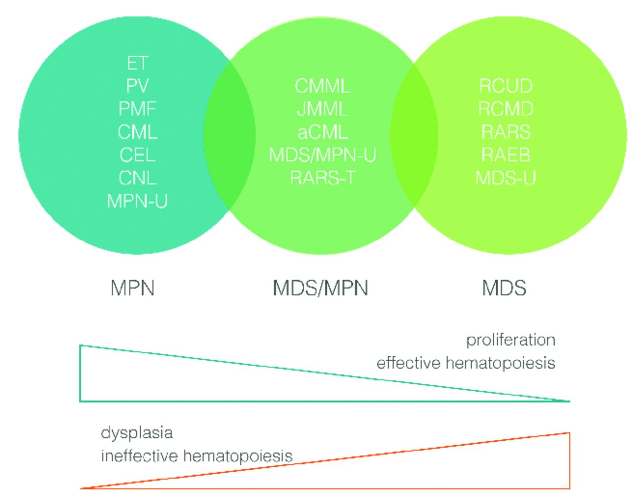 An International Mds Mpn Working Group S Perspective And