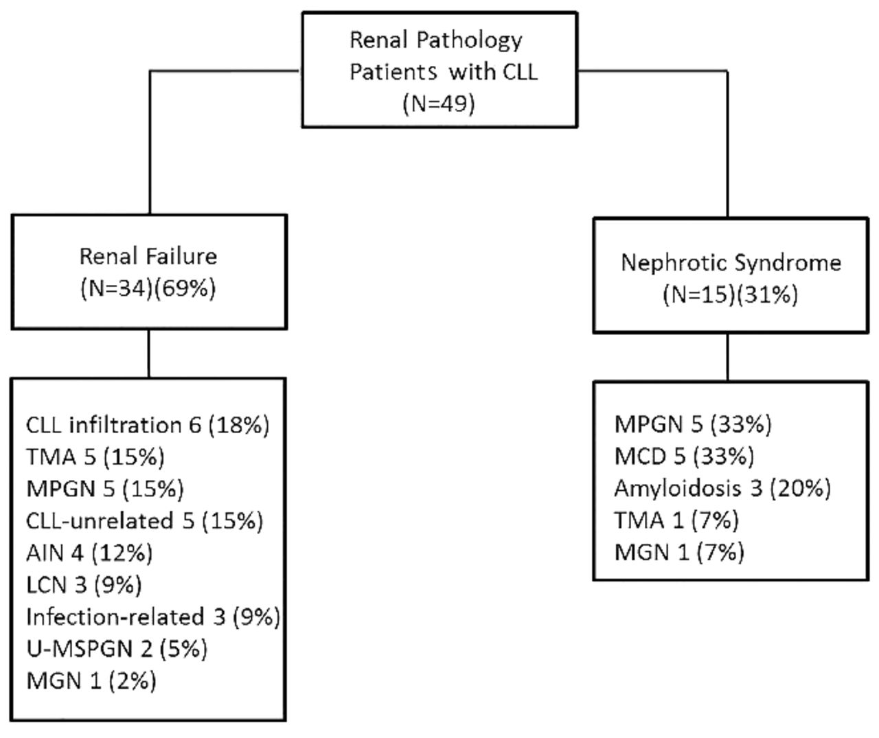 immunotherapy treatment for mesothelioma