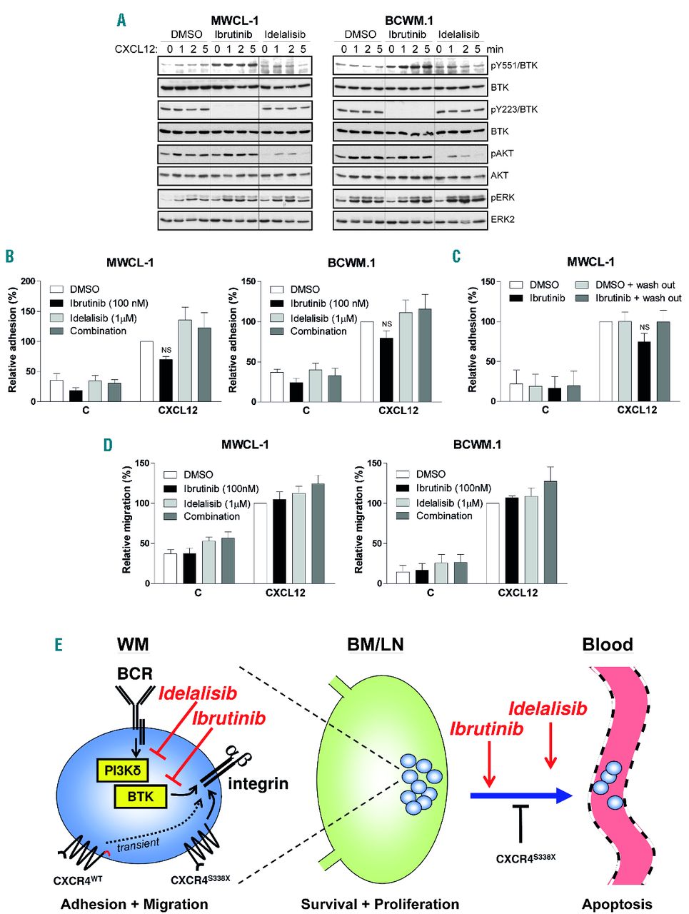 ibrutinib mechanism of action