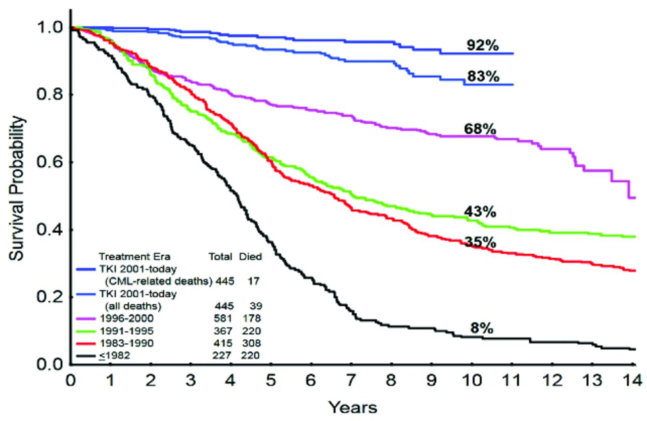 Chronic Myeloid Leukemia Calgary Guide vrogue.co