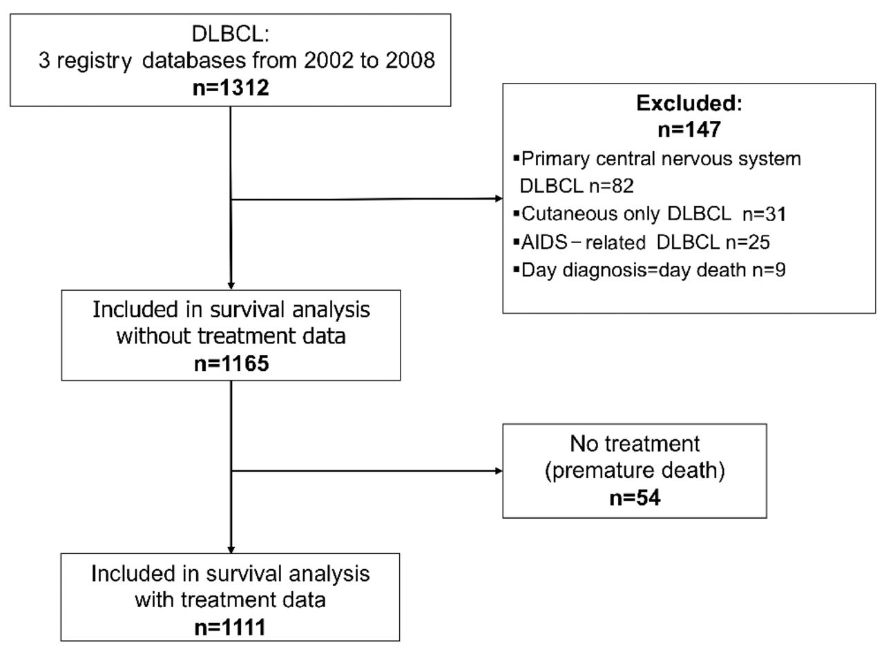 Factors Related To The Relative Survival Of Patients With Diffuse Large B Cell Lymphoma In A Population Based Study In France Does Socio Economic Status Have A Role Haematologica