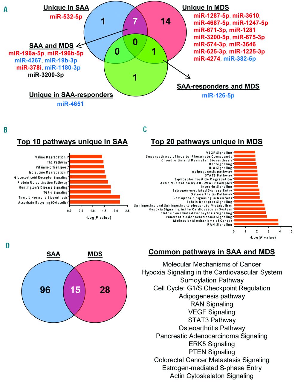 Circulating exosomal microRNAs in acquired aplastic anemia ...