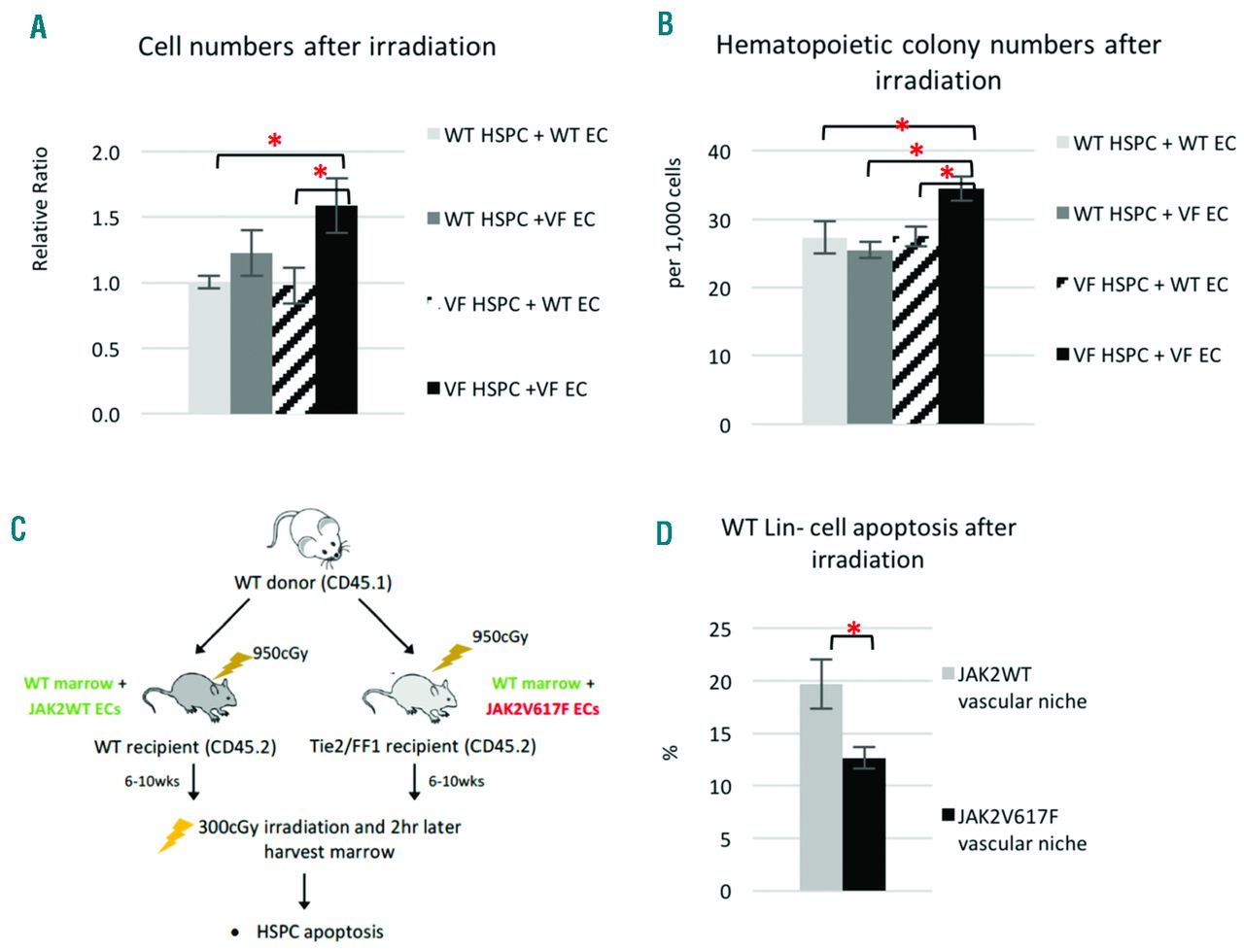 Jak2v617f Bearing Vascular Niche Enhances Malignant Hematopoietic Regeneration Following Radiation Injury Haematologica