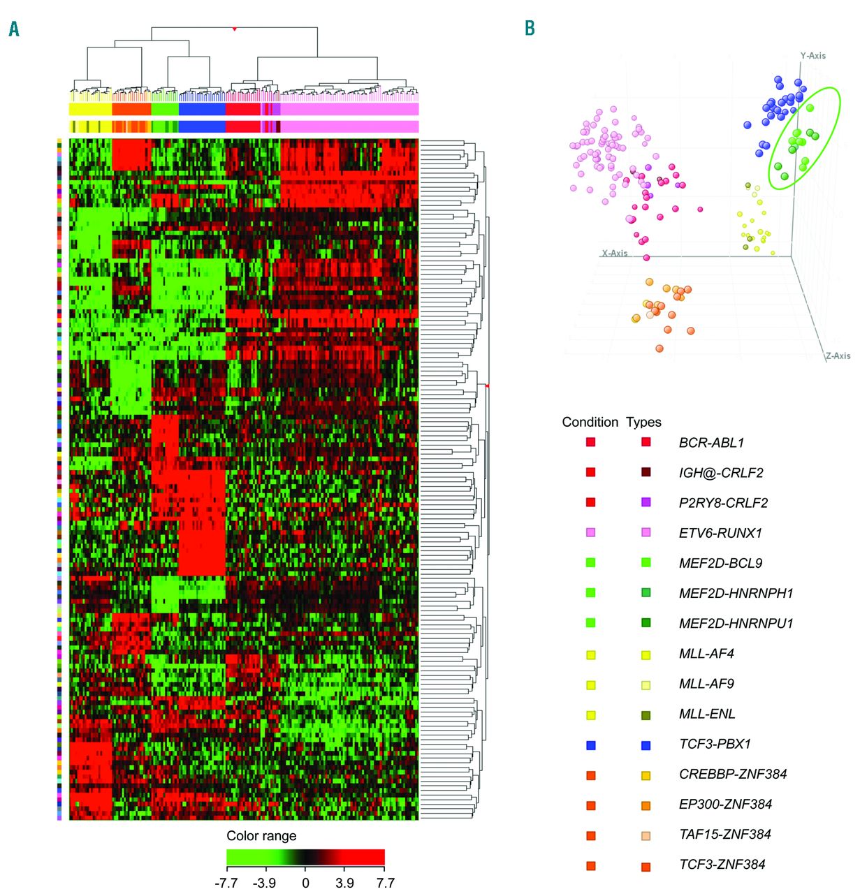 Exon deletions of the EP300 and CREBBP genes in two children with