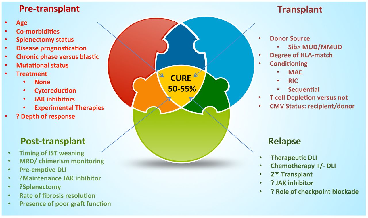 allogeneic bone marrow transplant