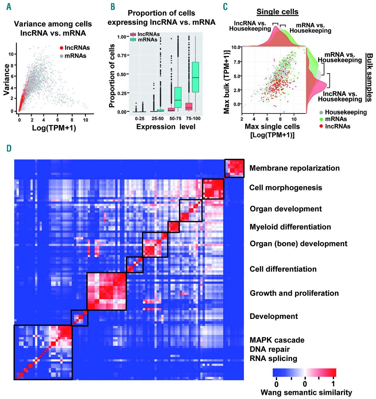 Characterization of long noncoding RNA and messenger RNA