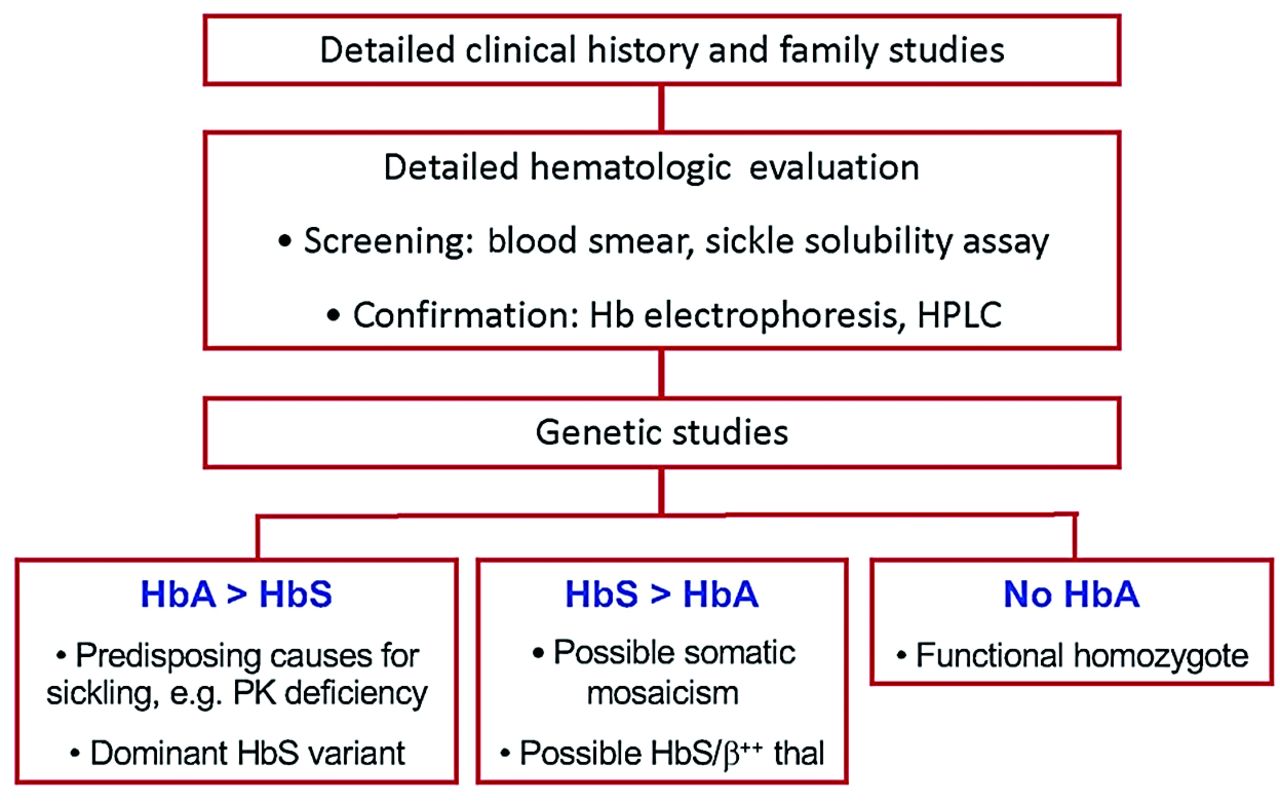 The Carrier State For Sickle Cell Disease Is Not Completely Harmless Haematologica