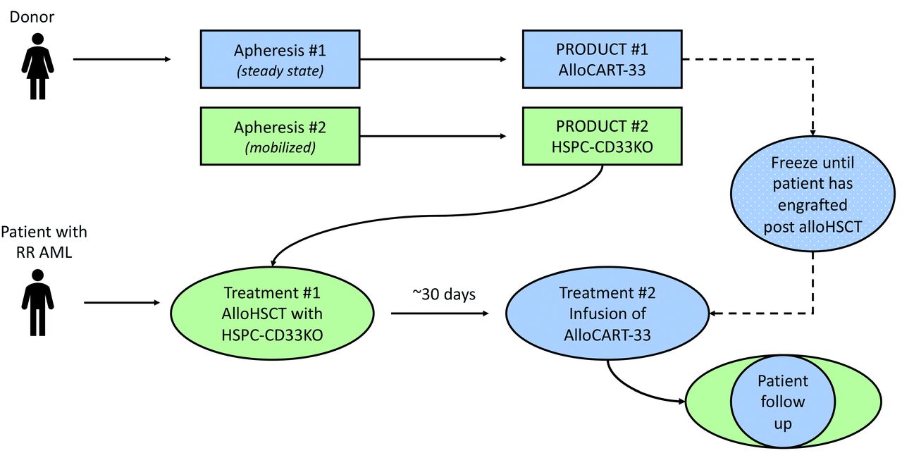 what blood test shows covid 19 antibodies