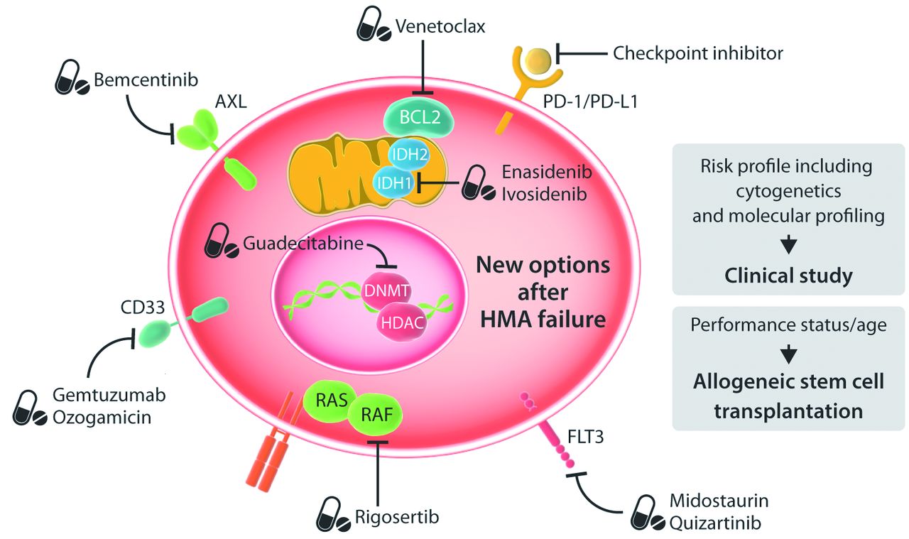 The wolf of hypomethylating agent failure: what comes next? | Haematologica