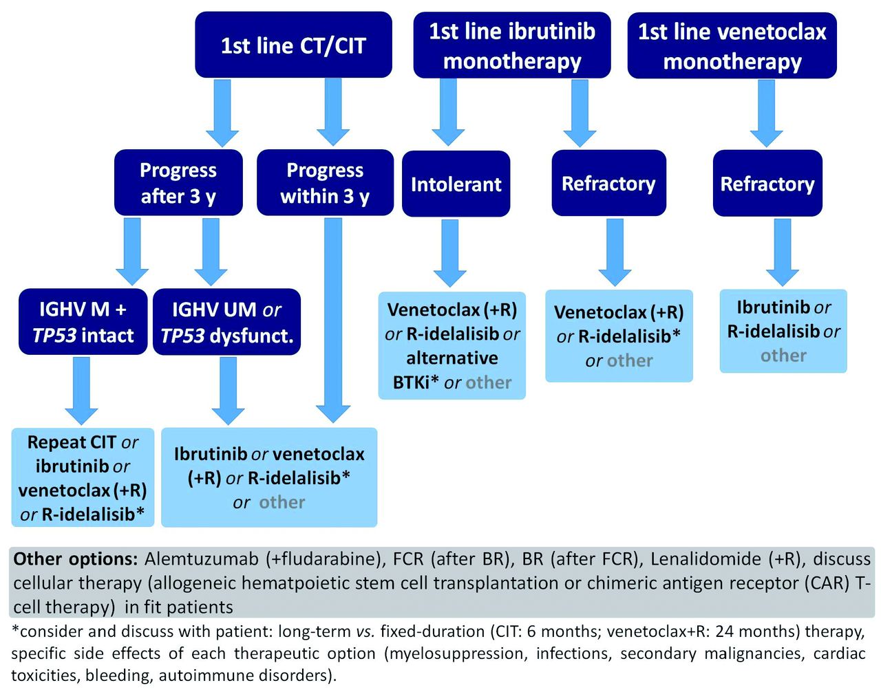 Cll New Treatments 2024 Schedule prudi johnath