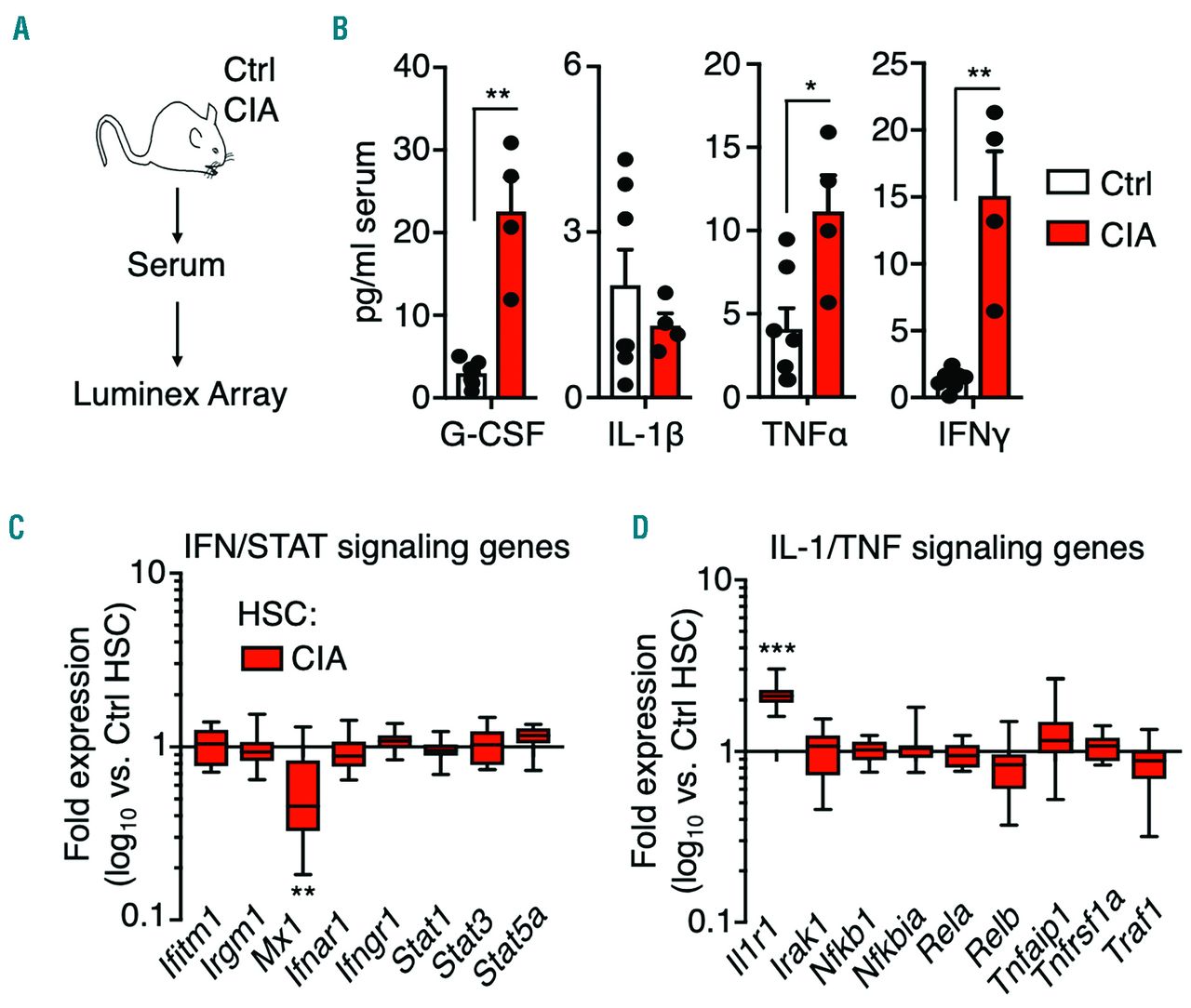 Pro Inflammatory Cytokine Blockade Attenuates Myeloid Expansion In A Murine Model Of Rheumatoid Arthritis Haematologica