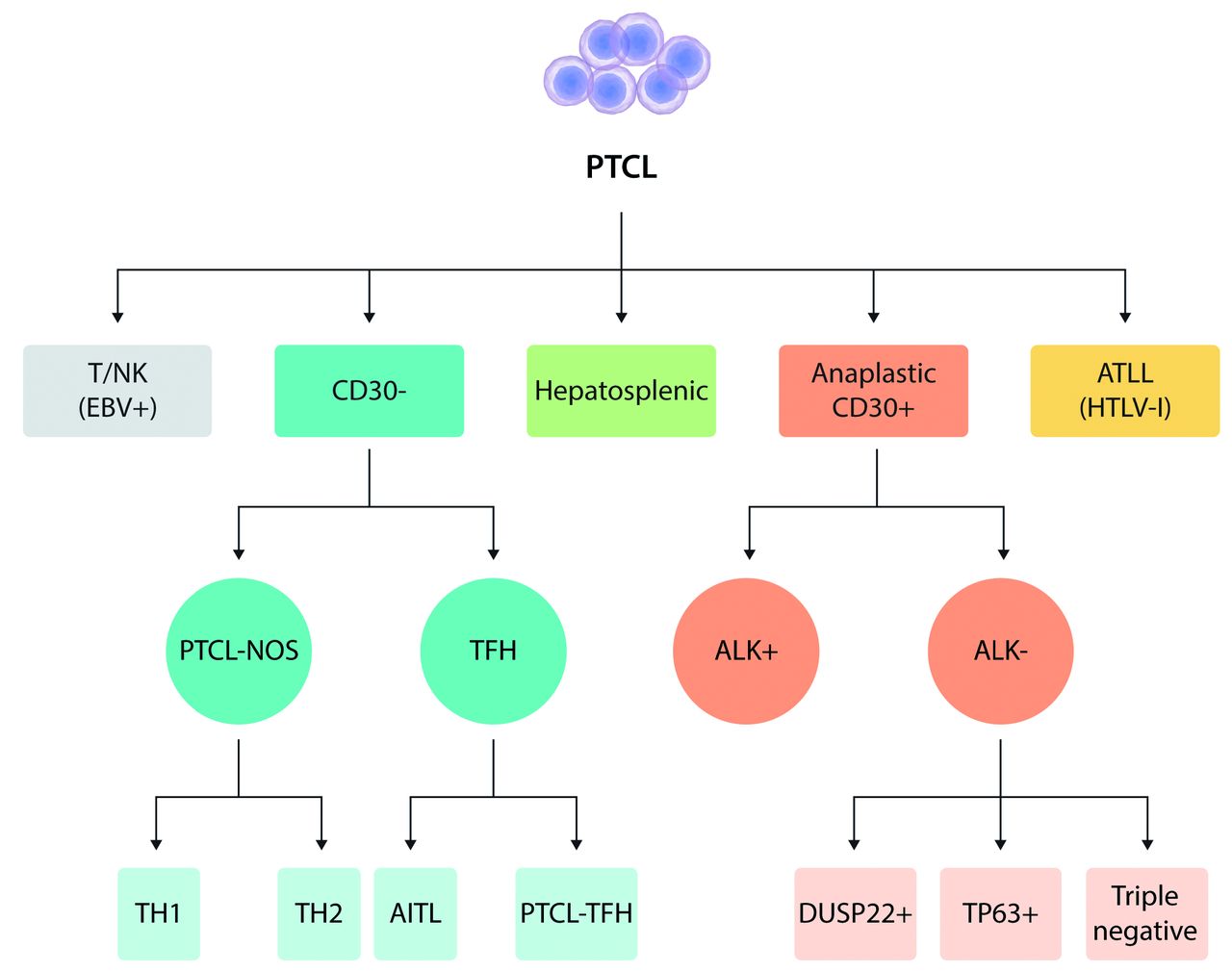 peripheral-t-cell-lymphoma-diagnosis-building-a-molecular-tool