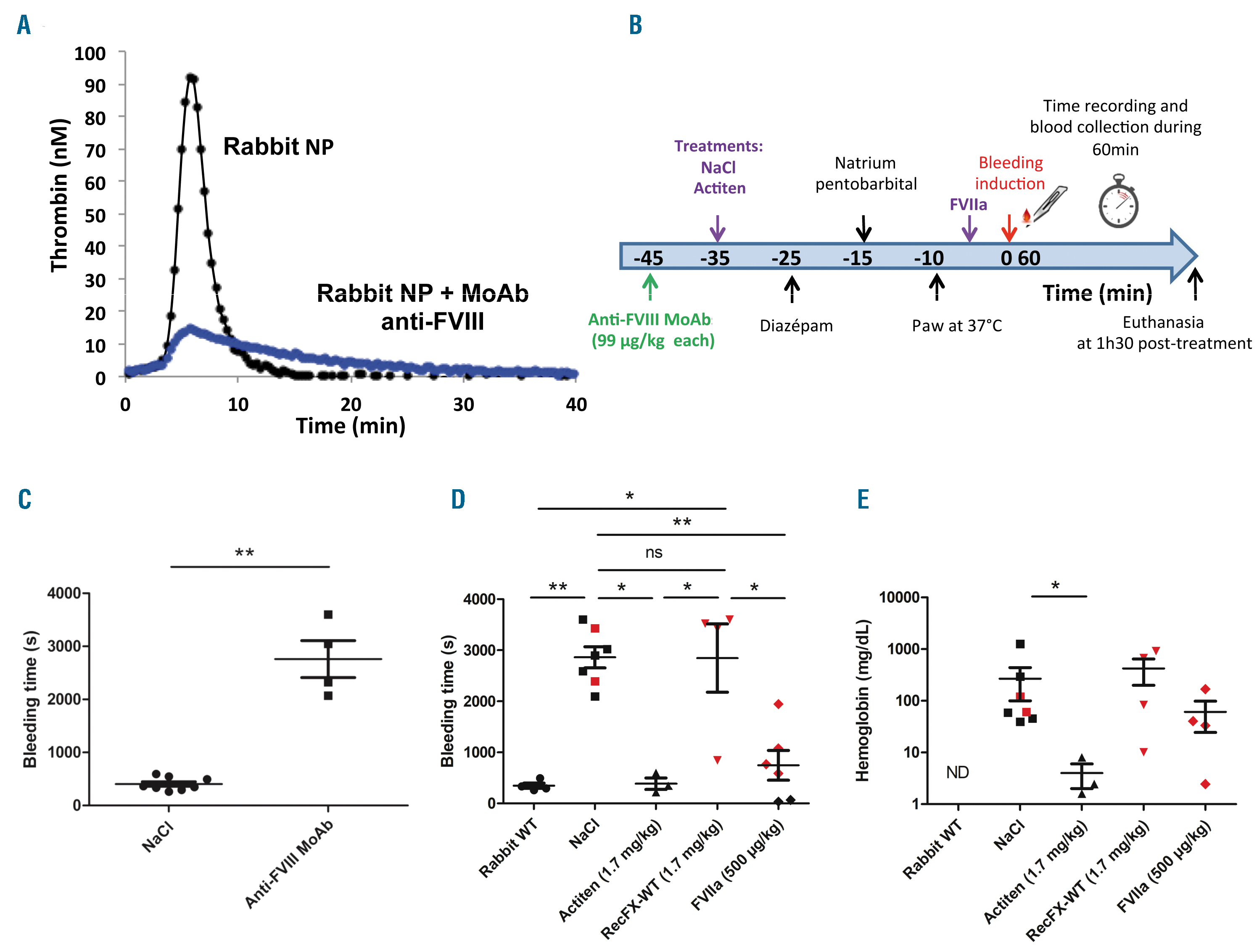 Thrombin generation and implications for hemophilia therapies: A