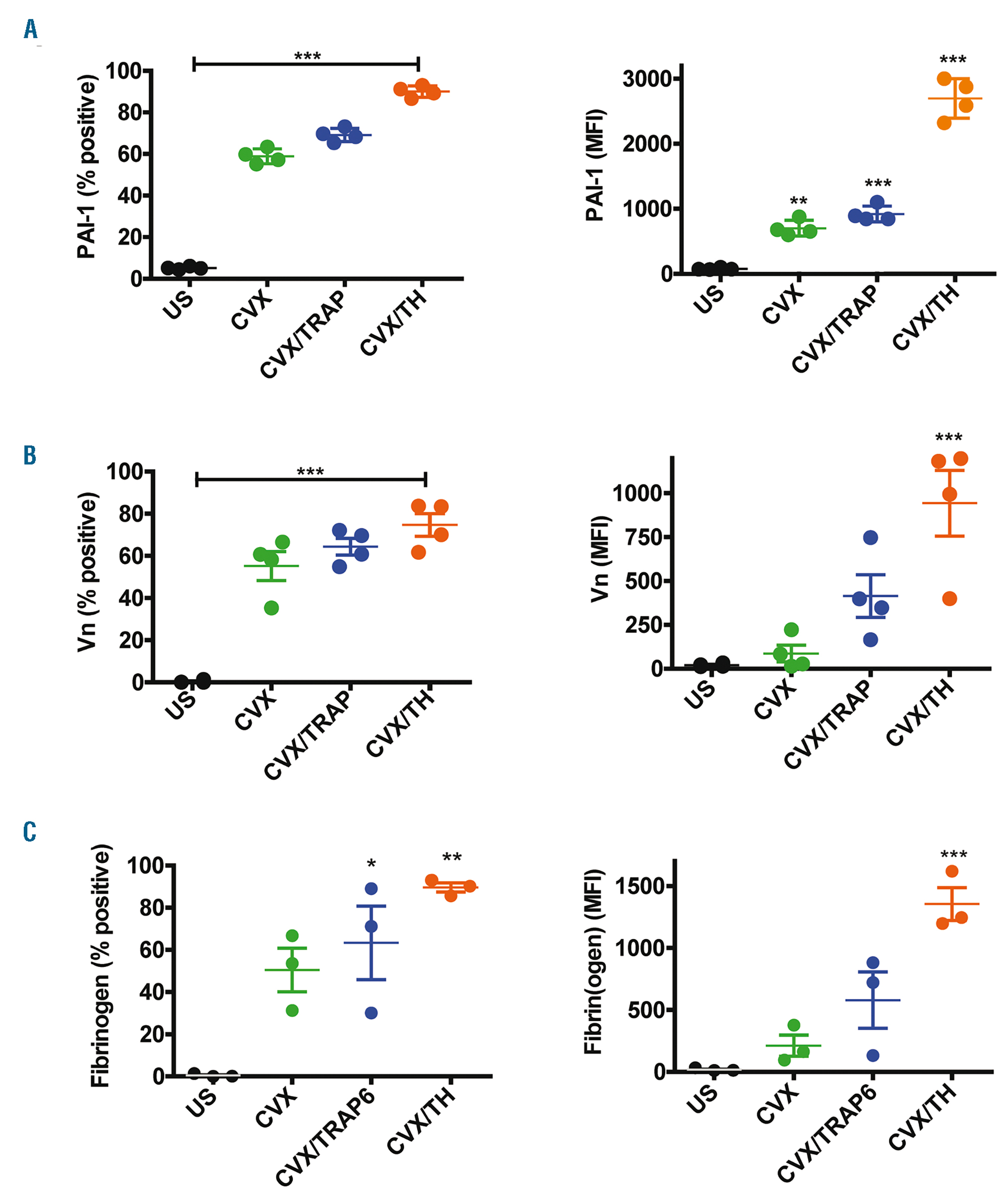 Functional plasminogen activator inhibitor 1 is retained on the ...