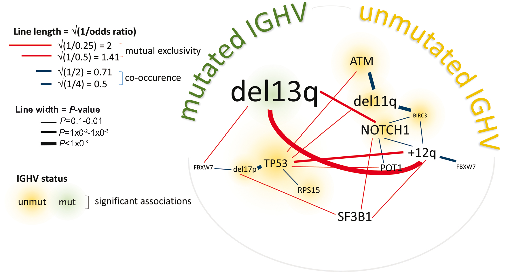 Prognostic and predictive role of gene mutations in chronic lymphocytic  leukemia: results from the pivotal phase III study COMPLEMENT1