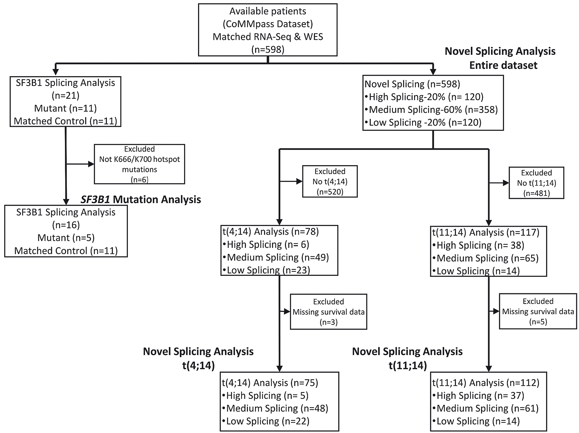 Differential Rna Splicing As A Potentially Important Driver Mechanism In Multiple Myeloma Haematologica