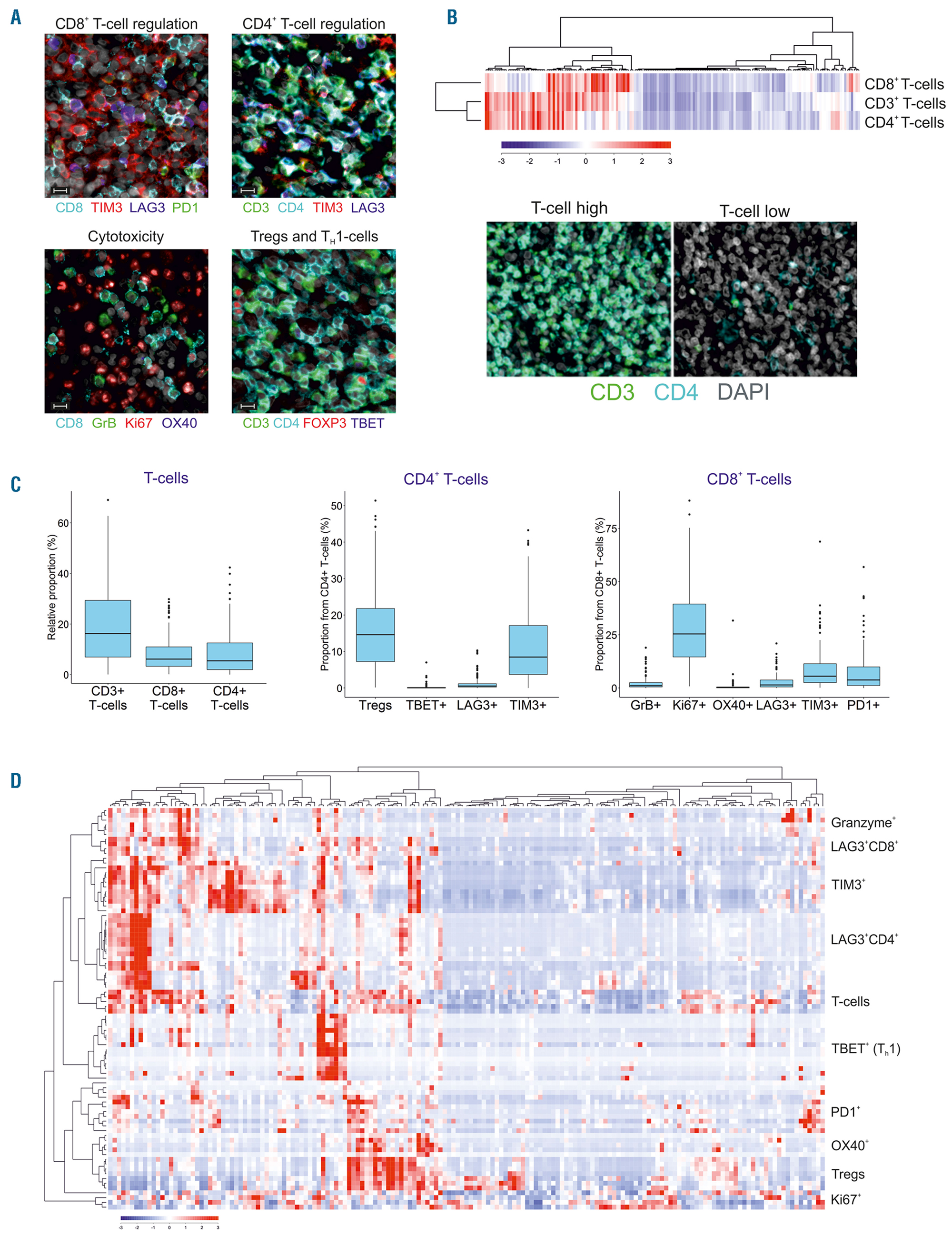 Cellular heterogeneity and immune microenvironment revealed by