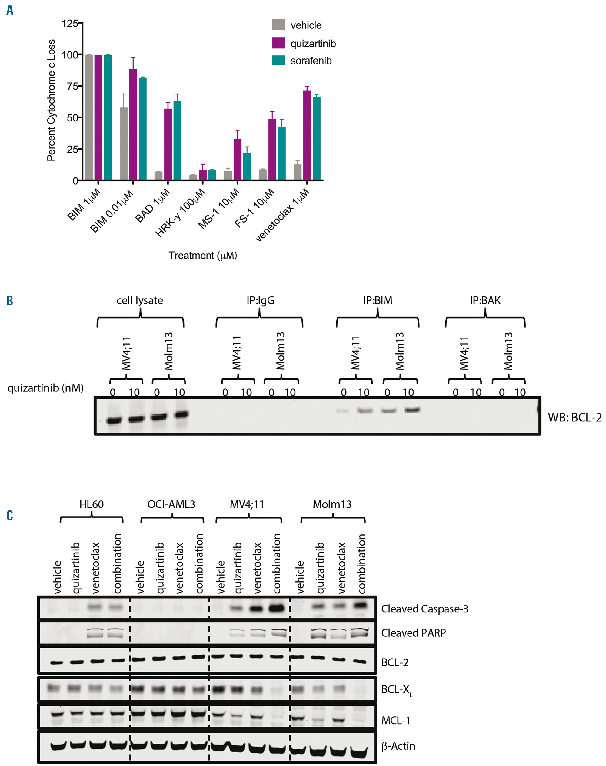 Venetoclax Combines Synergistically With Flt3 Inhibition To Effectively Target Leukemic Cells In Flt3 Itd Acute Myeloid Leukemia Models Haematologica