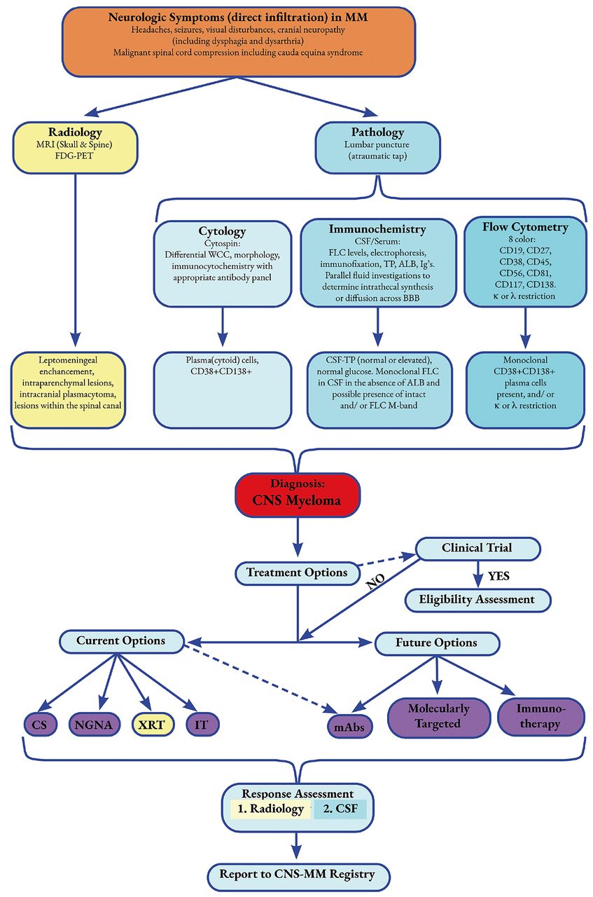 Multiple myeloma with central nervous system relapse Haematologica