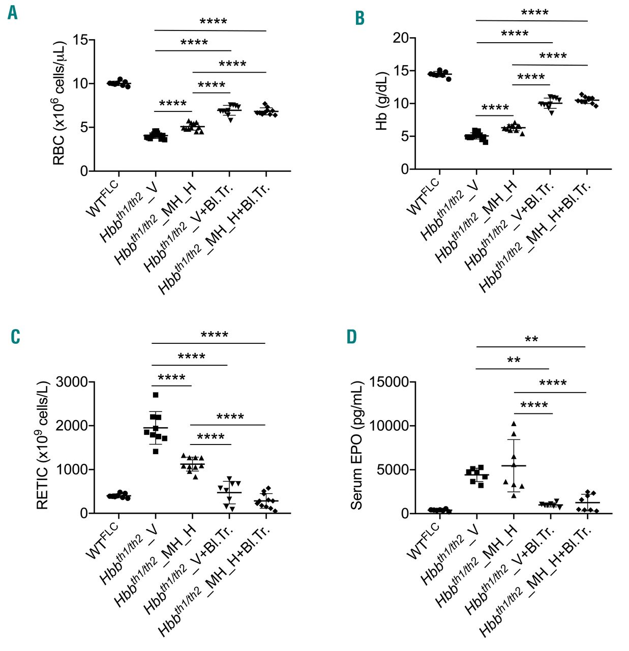 Minihepcidins Improve Ineffective Erythropoiesis And Splenomegaly In A New Mouse Model Of Adult B Thalassemia Major Haematologica