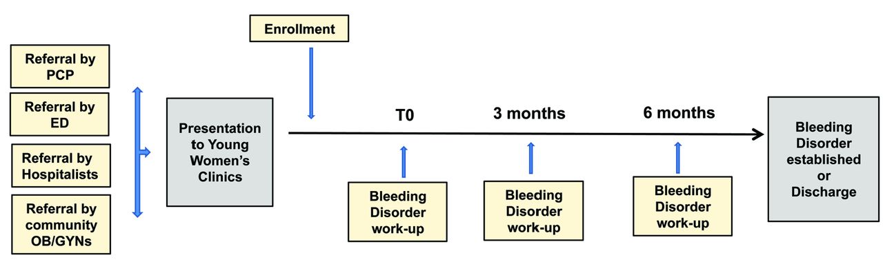 Heavy Menstrual Bleeding Can Be a Symptom of Undiagnosed Hemophilia