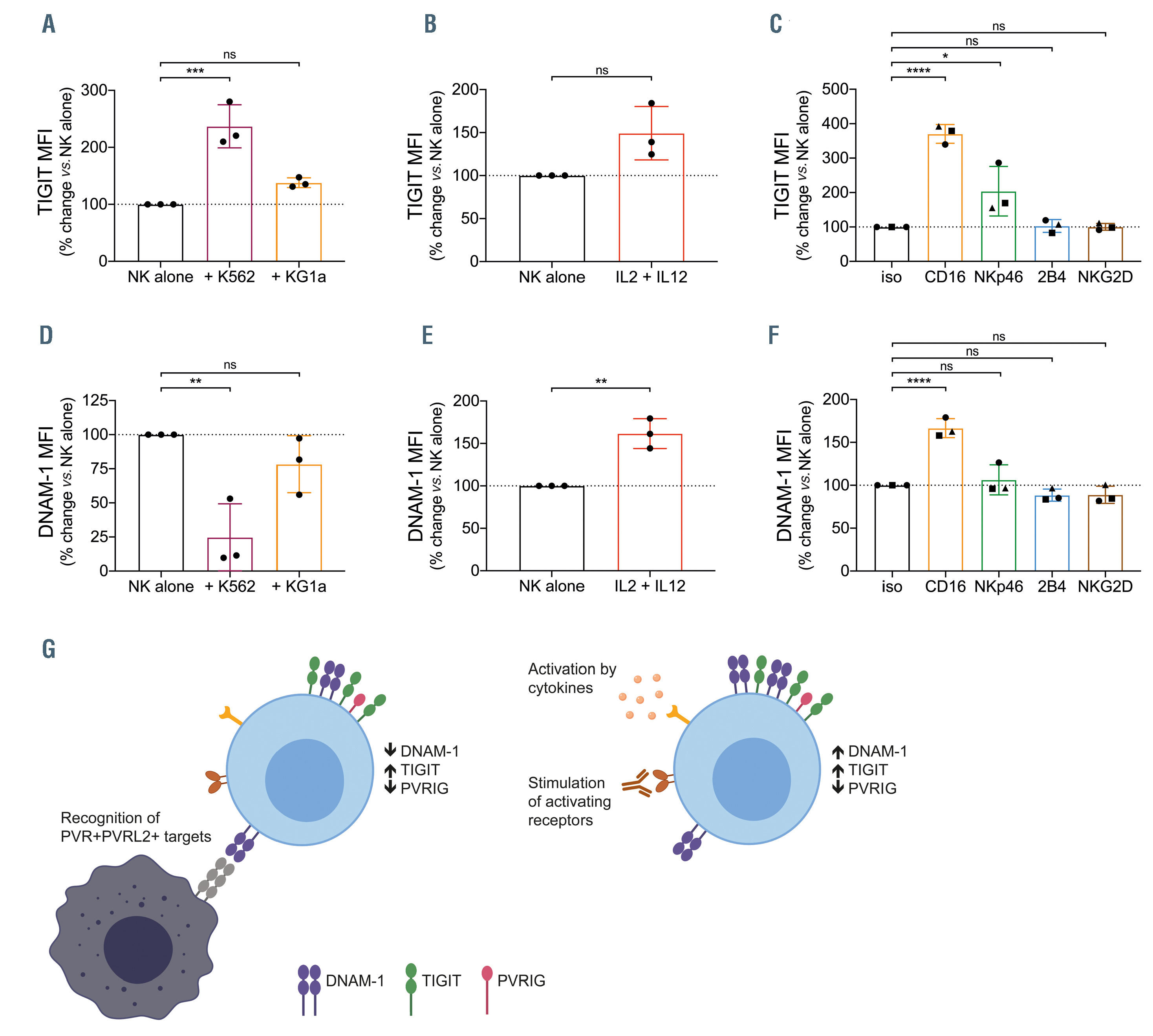 PVRIG is a novel natural killer cell immune checkpoint receptor in acute  myeloid leukemia | Haematologica