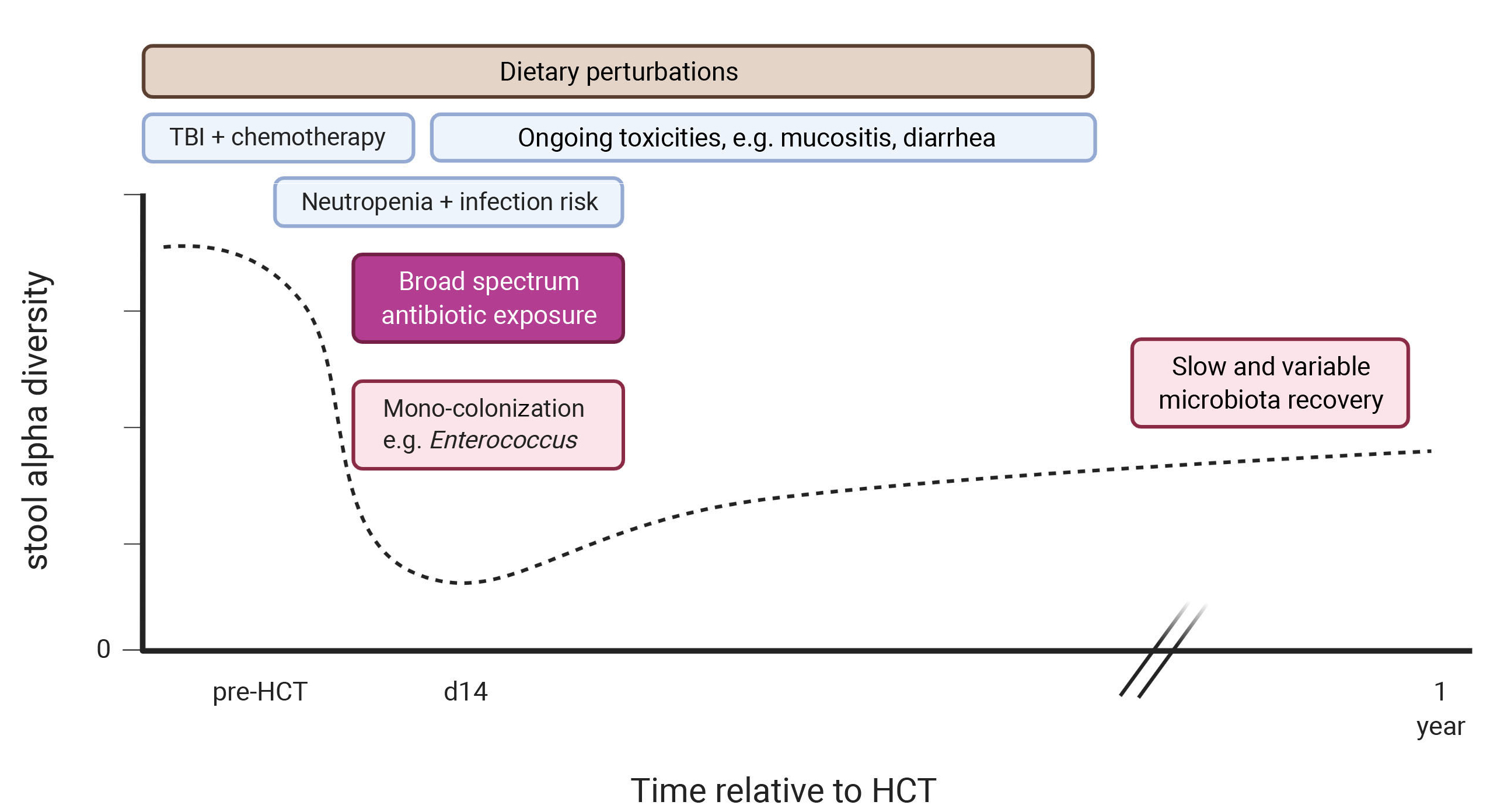 PDF) Age-related immune cell dynamics influence outcomes after allogeneic  haematopoietic cell transplantation