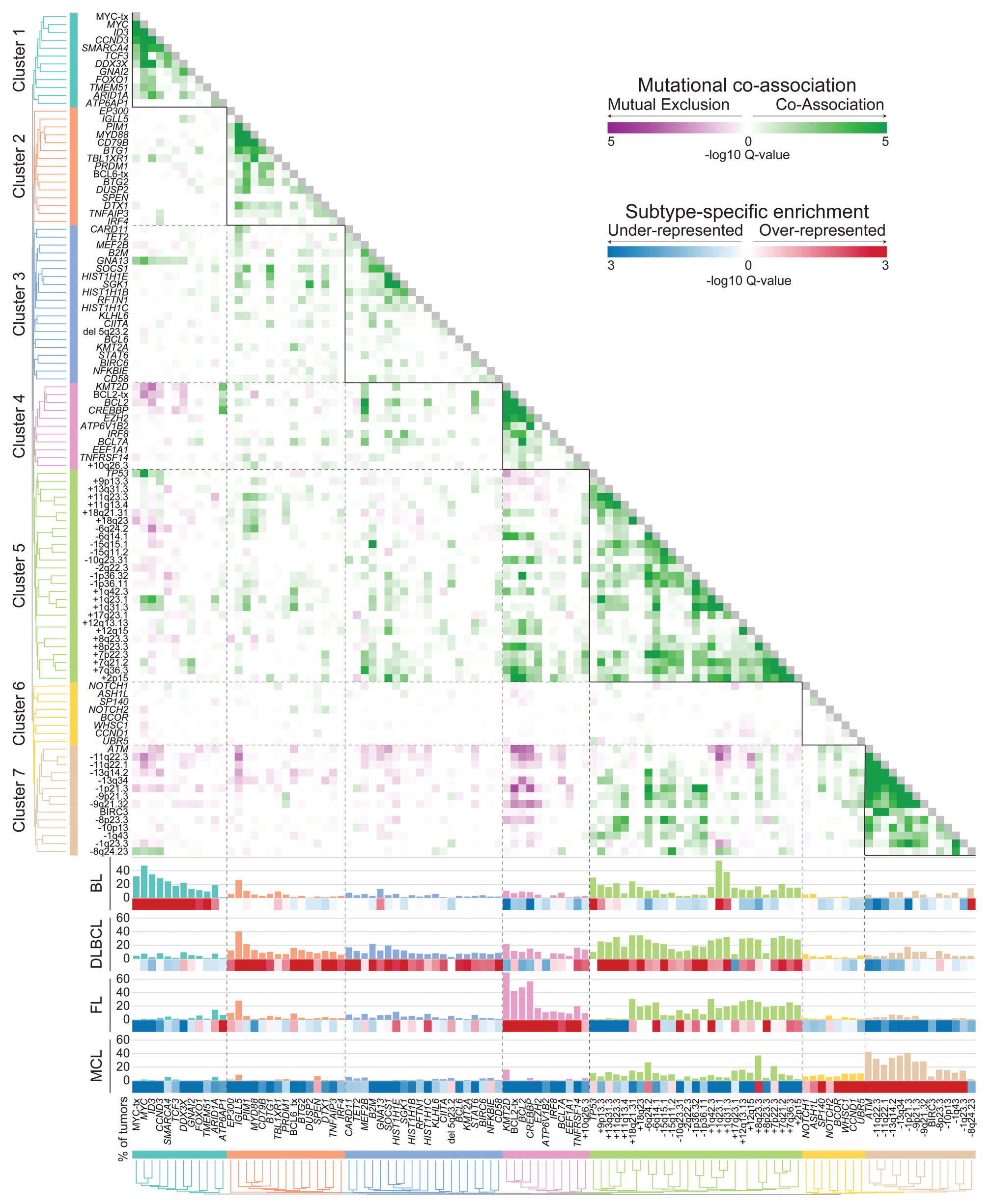 Subtype-specific and co-occurring genetic alterations in B-cell 