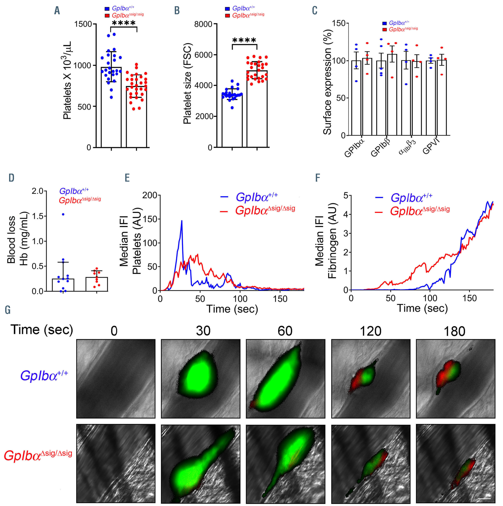 Staph's activation of blood clotting, VUMC Reporter