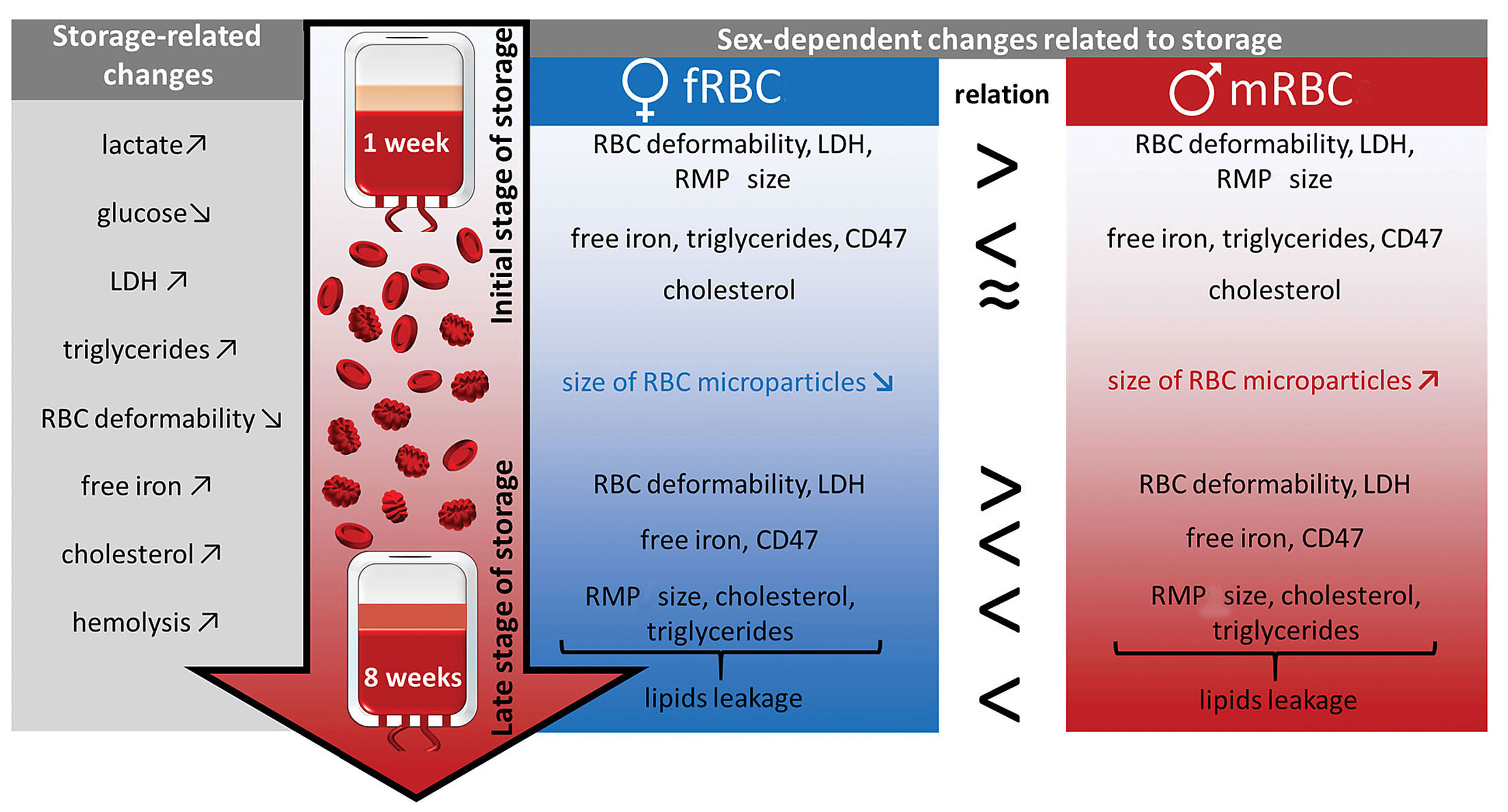 packed red blood cells