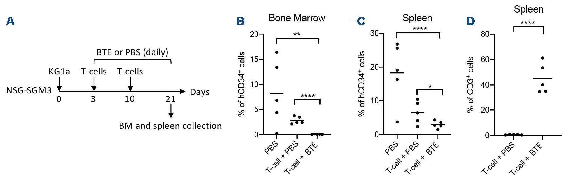 A novel CD34-specific T-cell engager efficiently depletes acute myeloid ...