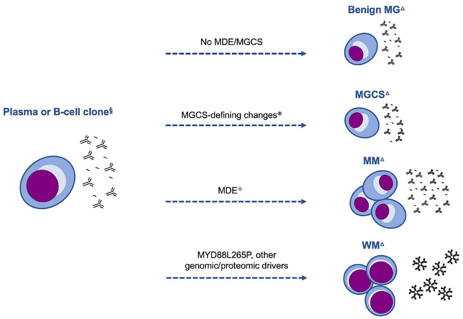 Monoclonal Gammopathy Of Increasing Significance Time To Screen Haematologica 9213