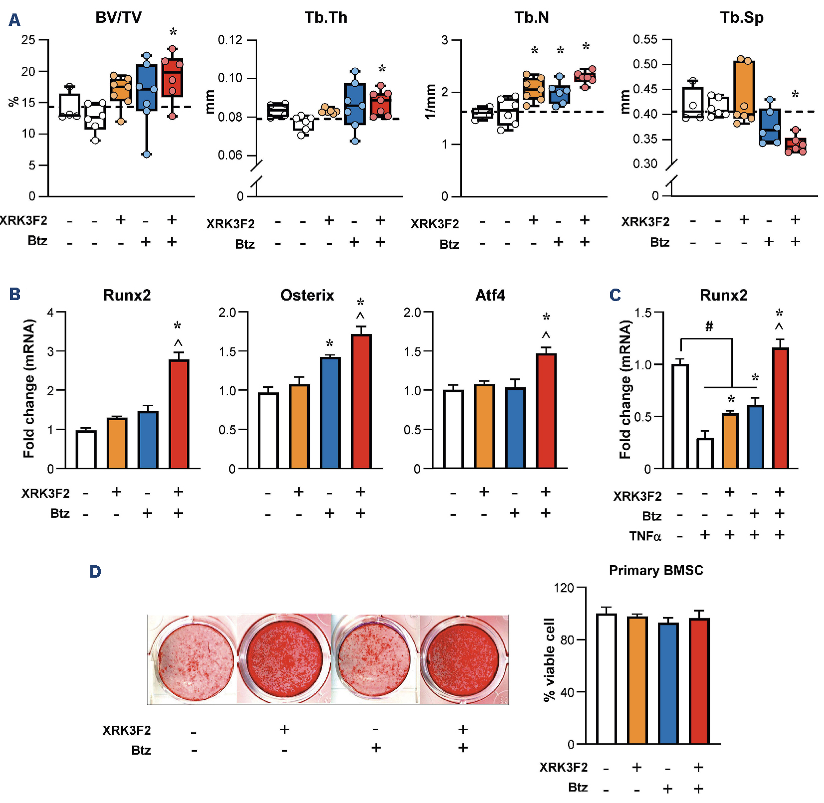 Pharmacologic targeting of the p62 ZZ domain enhances both anti-tumor ...