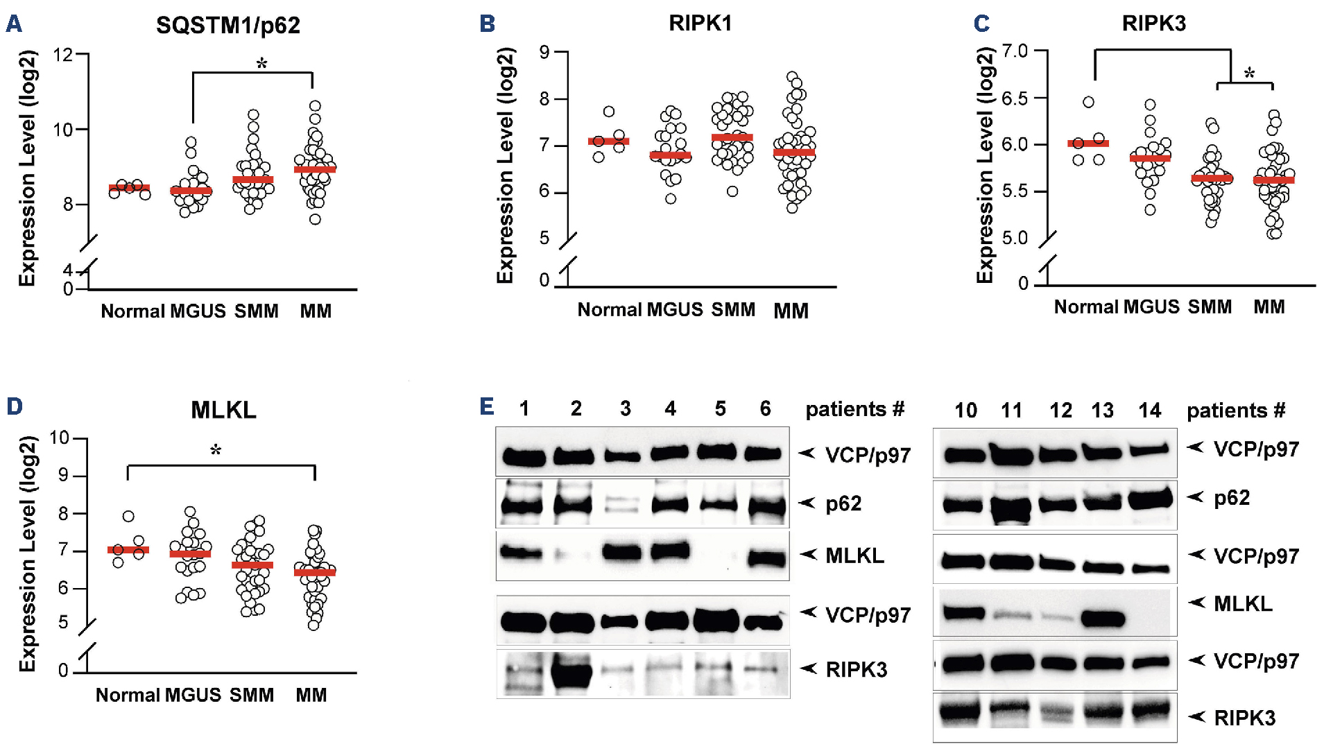 Pharmacologic targeting of the p62 ZZ domain enhances both anti-tumor ...