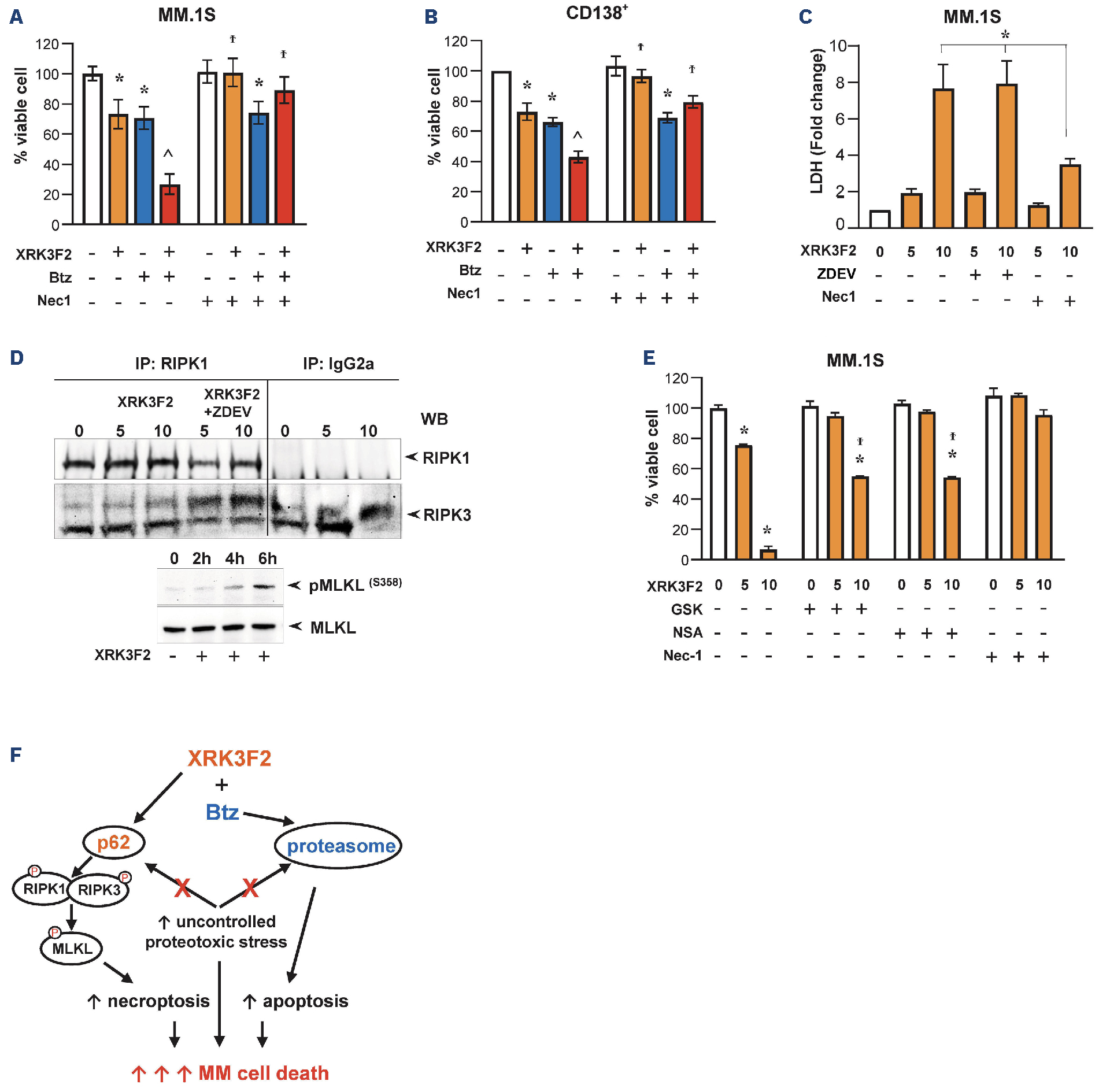 Pharmacologic targeting of the p62 ZZ domain enhances both anti-tumor ...