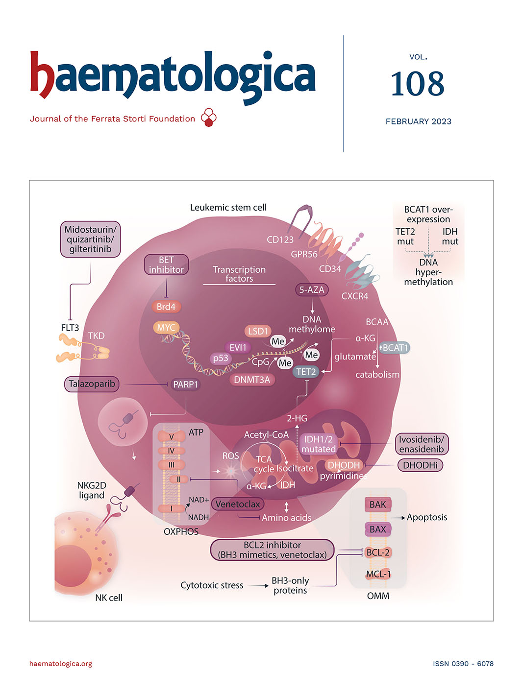 Haematologica. Volume 108, Issue 3 by Haematologica - Issuu